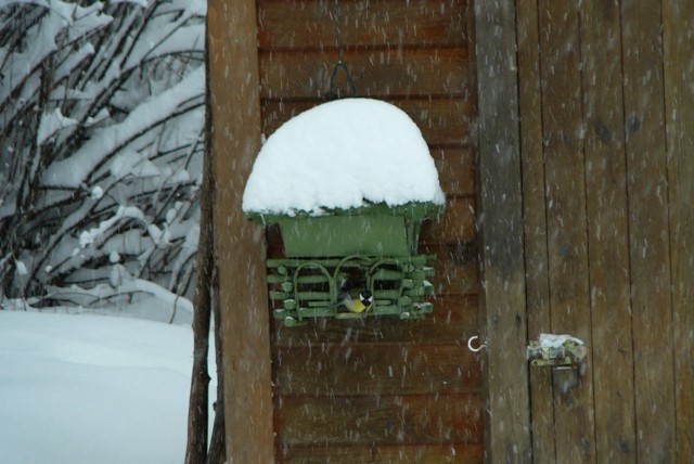 Gorski kotar